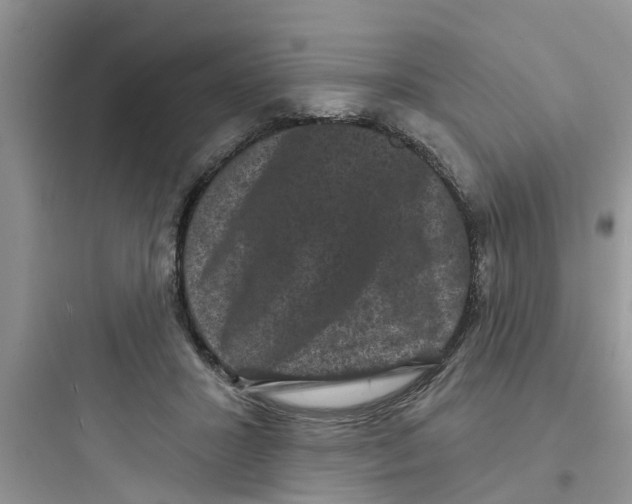 X0000097630407200803211814