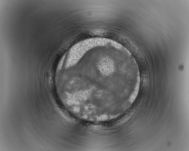 X0000097630408200803211814