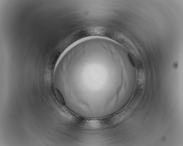 X0000097630409200803211814