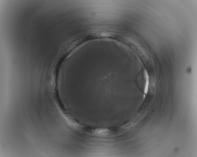 X0000097630410200803211814