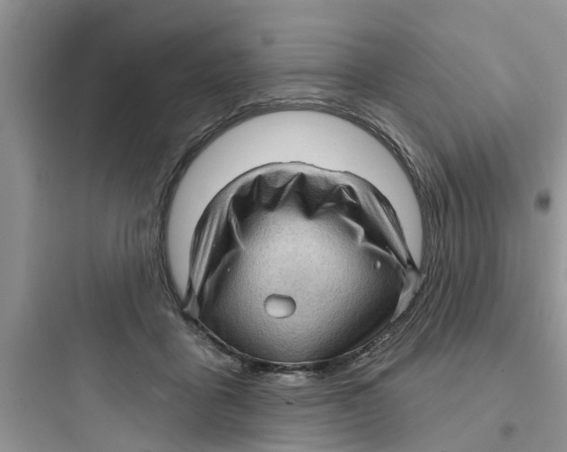 X0000097630411200803211814