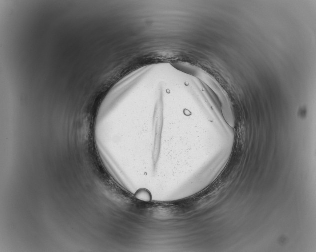 X0000097630412200803211814