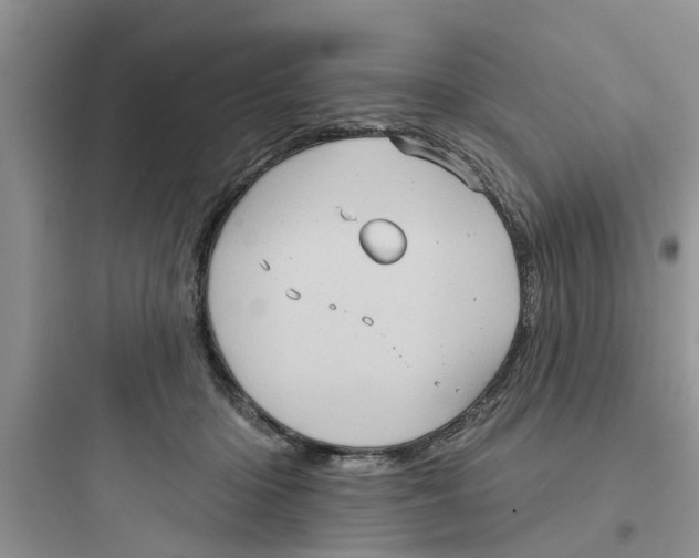 X0000097630414200803211814