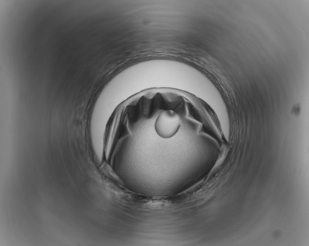 X0000097630415200803211814