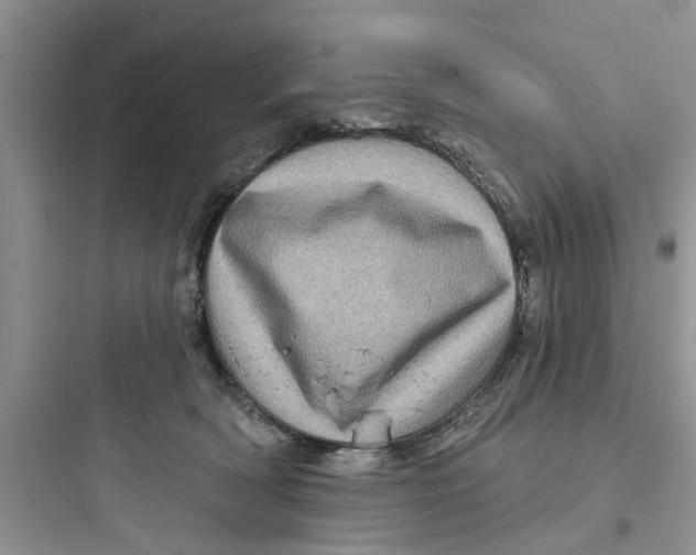 X0000097630418200803211814