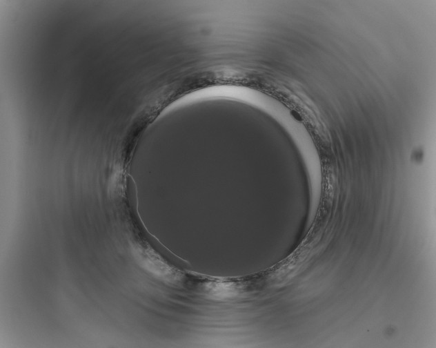 X0000097630419200803211814