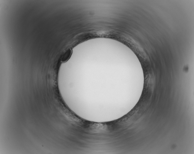 X0000097630421200803211814