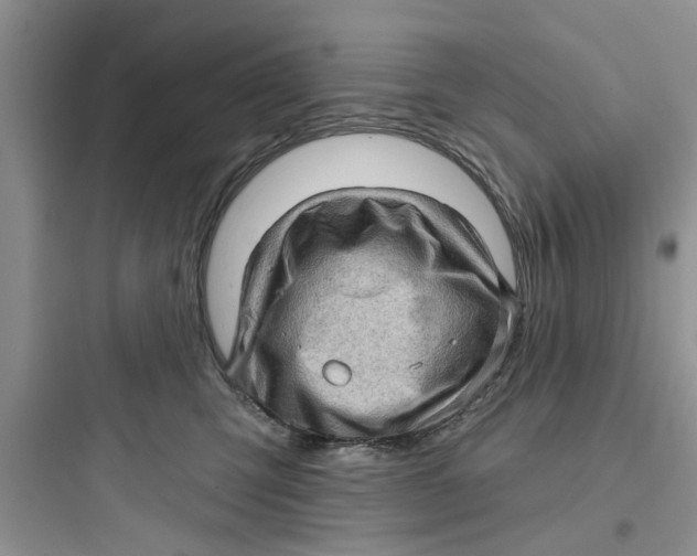 X0000097630423200803211814