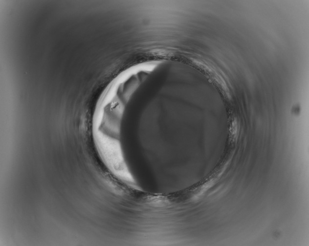 X0000097630424200803211814