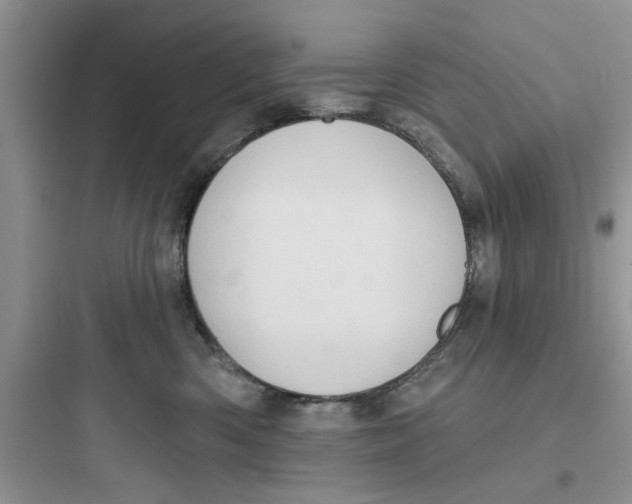 X0000097630426200803211814