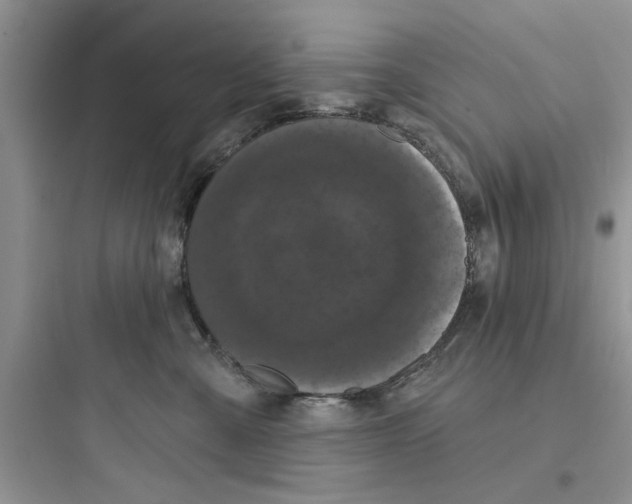 X0000097630427200803211814