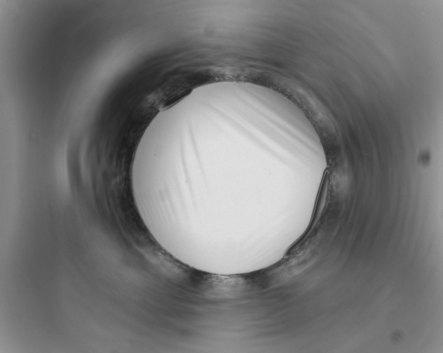 X0000097630429200803211814