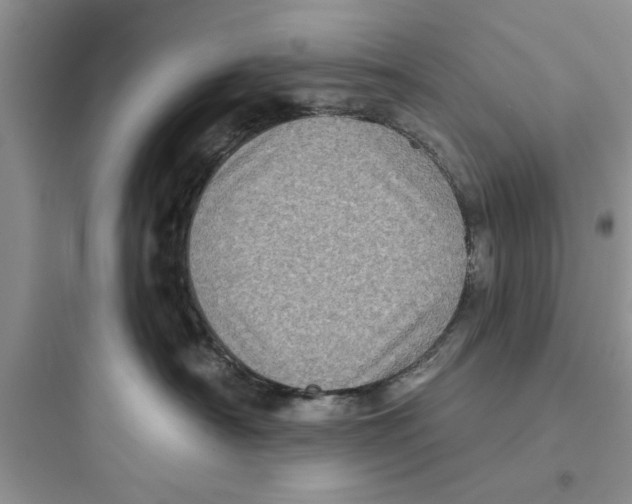 X0000097630430200803211814