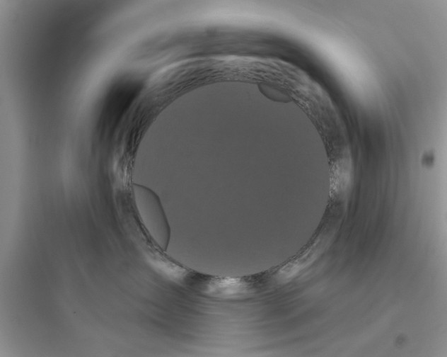 X0000097630431200803211814