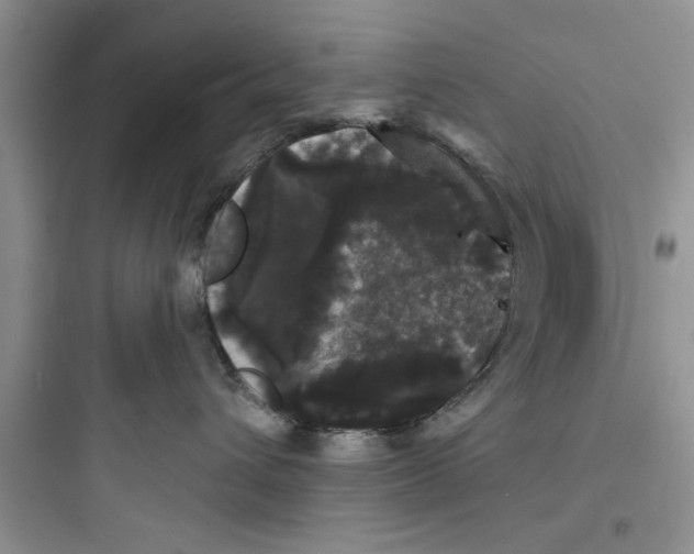 X0000097630432200803211814