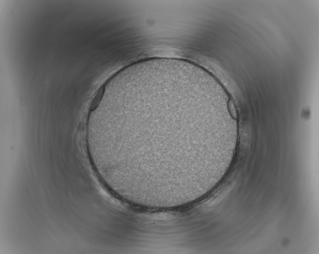 X0000097630433200803211813