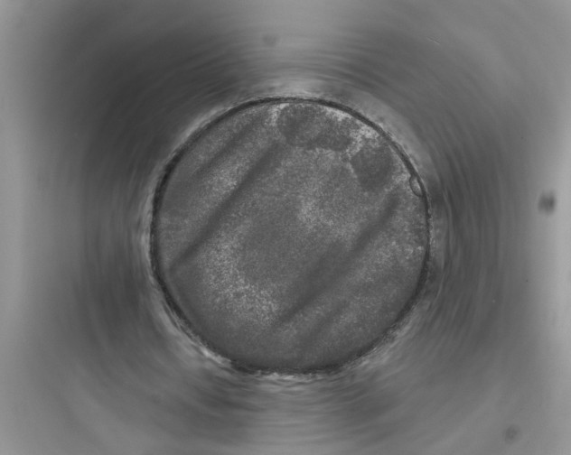 X0000097630434200803211813