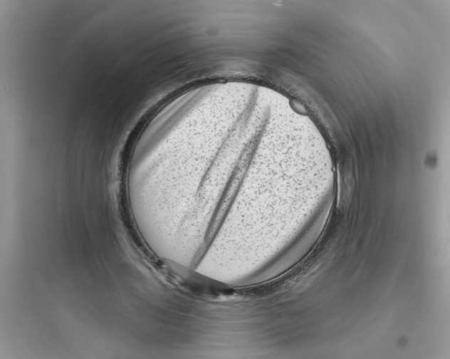 X0000097630435200803211813