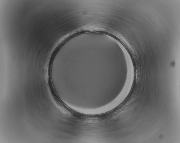 X0000097630438200803211813