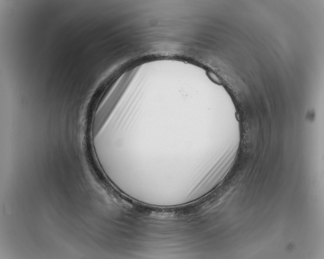 X0000097630440200803211813