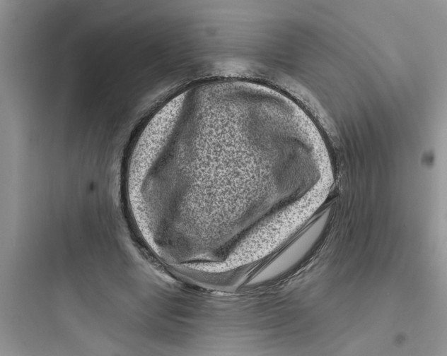 X0000097630442200803211813