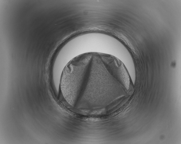 X0000097630444200803211813