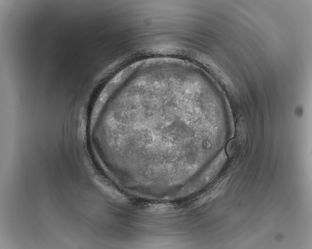 X0000097630446200803211813