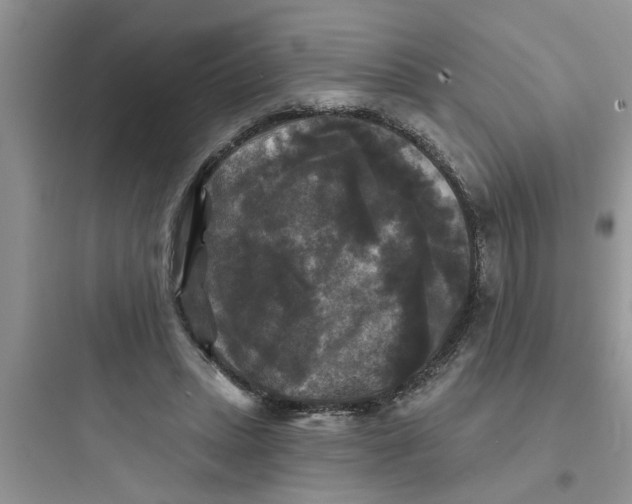 X0000097630447200803211813