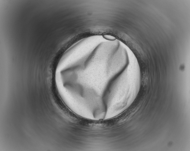 X0000097630448200803211813