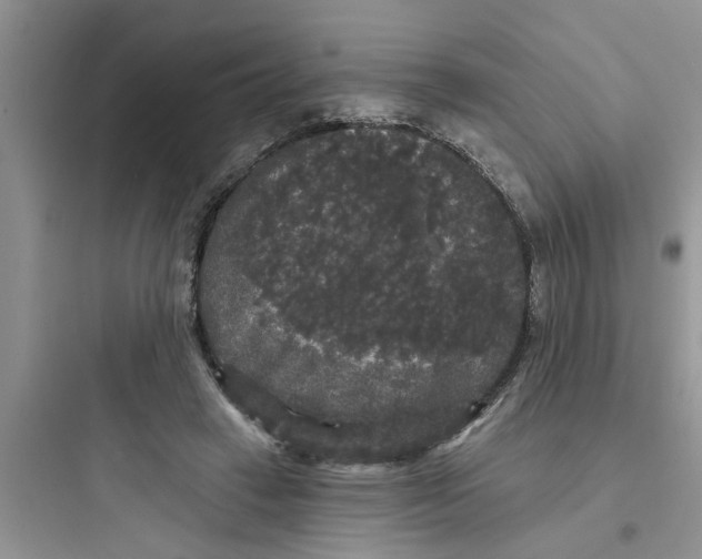 X0000097630449200803211813