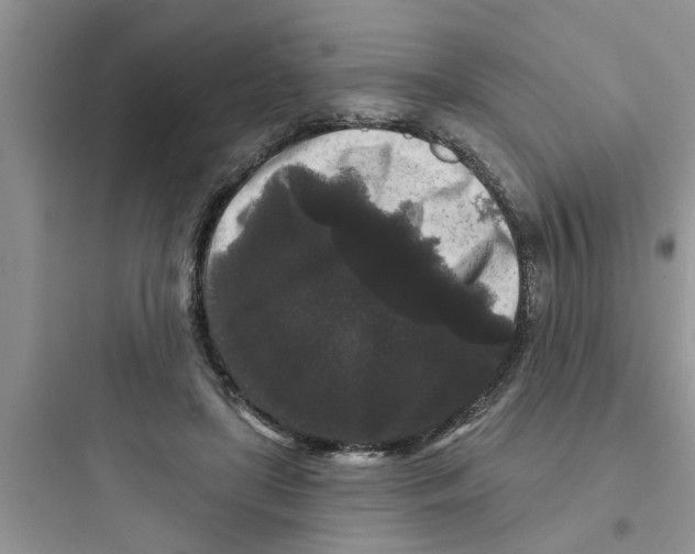 X0000097630451200803211813