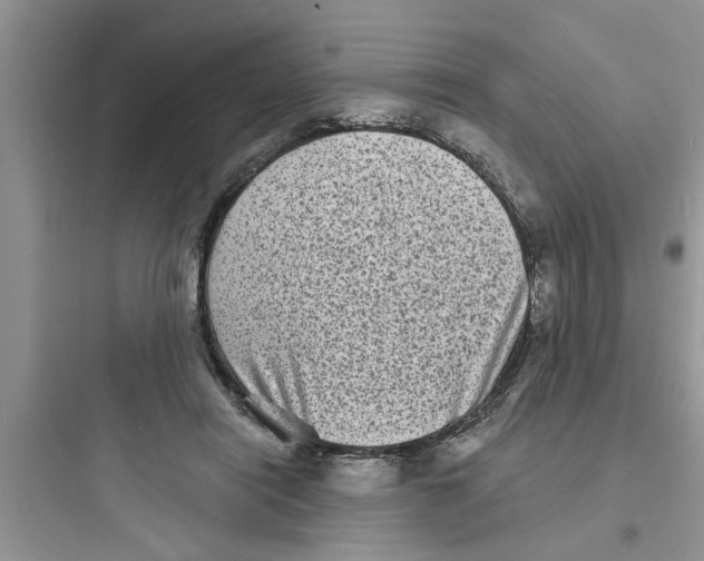 X0000097630454200803211813