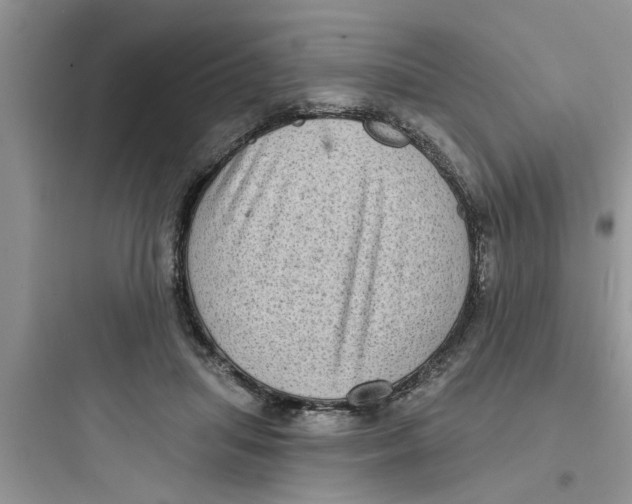 X0000097630455200803211813