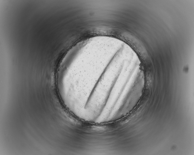 X0000097630457200803211813