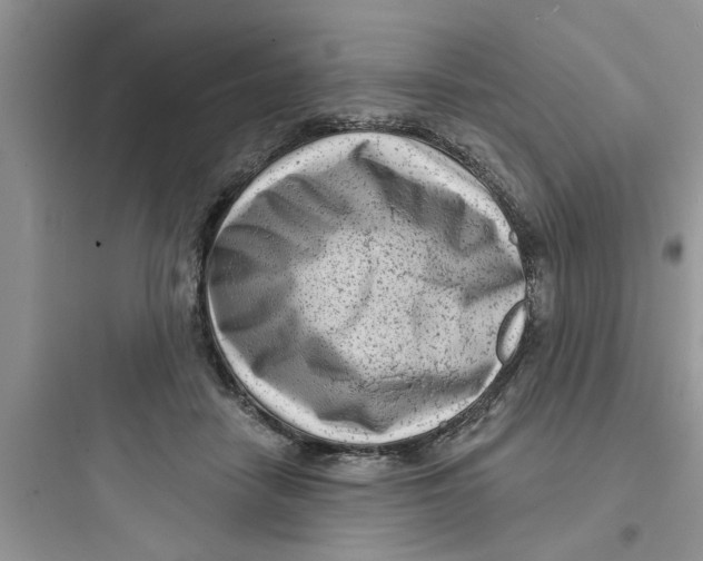 X0000097630458200803211813