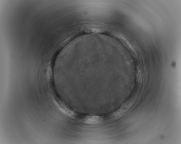 X0000097630459200803211813