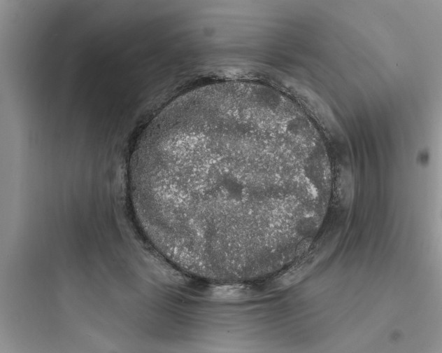 X0000097630461200803211813