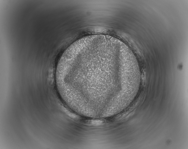 X0000097630462200803211813