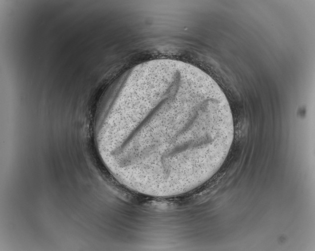 X0000097630464200803211813