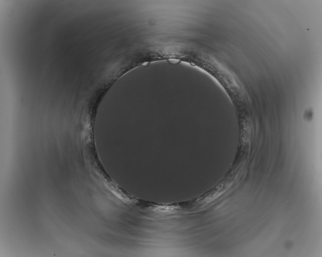 X0000097630465200803211813