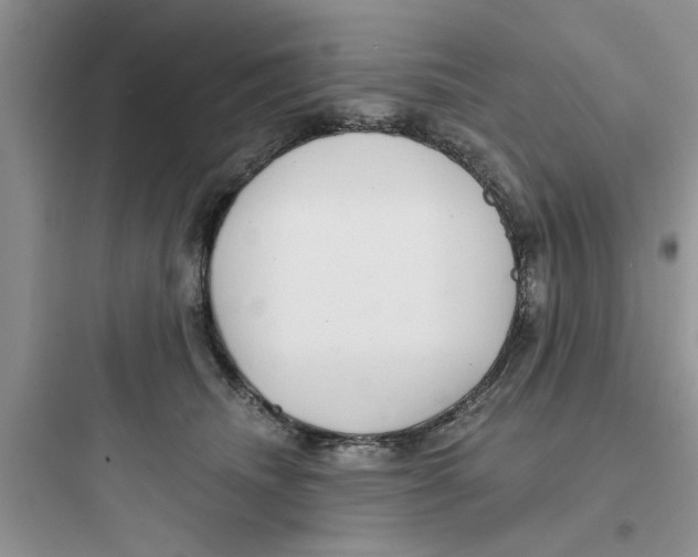 X0000097630468200803211813