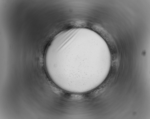 X0000097630469200803211813