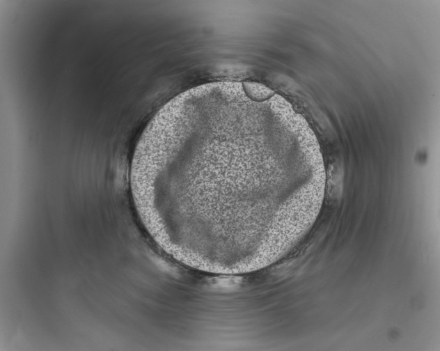 X0000097630474200803211814