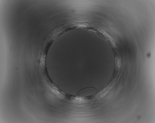 X0000097630475200803211814