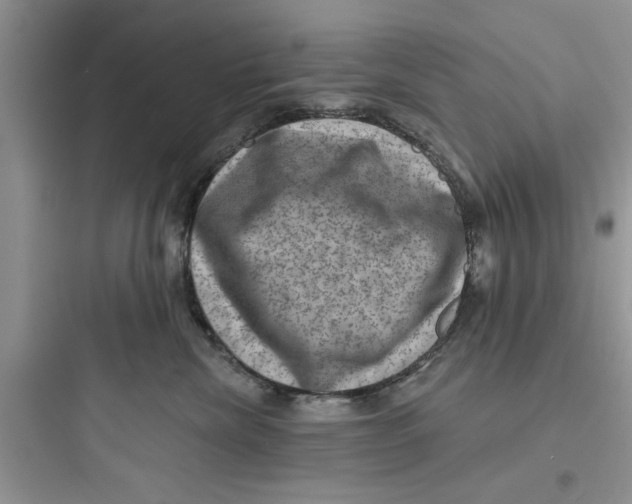 X0000097630476200803211814