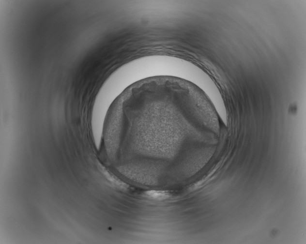 X0000097630477200803211814