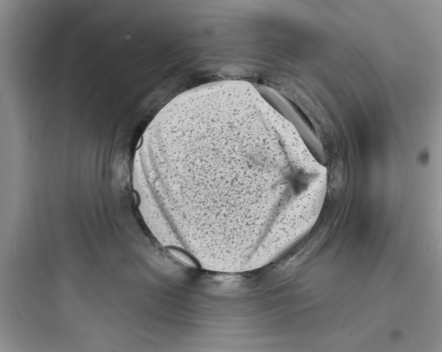 X0000097630478200803211814