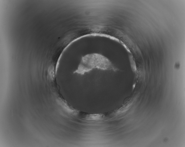 X0000097630479200803211814