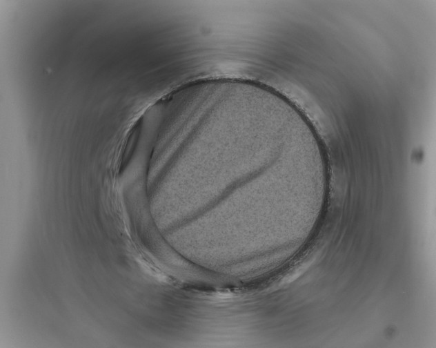 X0000097630481200803211813