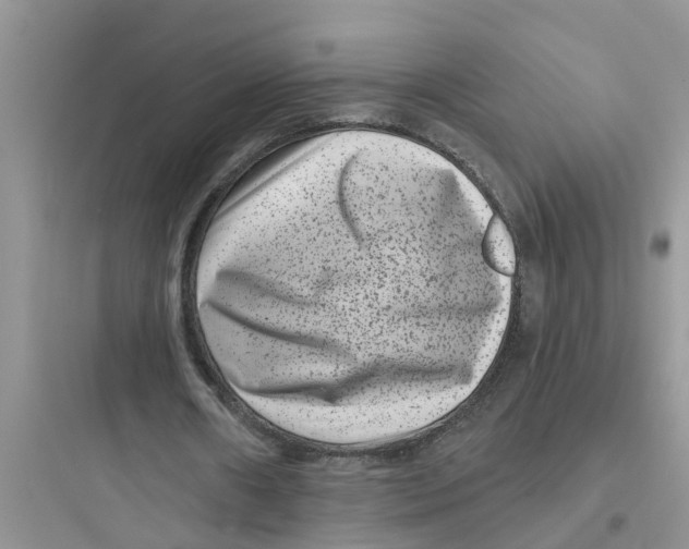 X0000097630482200803211813